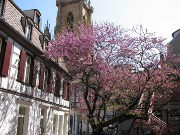 Chez Pauline Apartment Colmar Ngoại thất bức ảnh