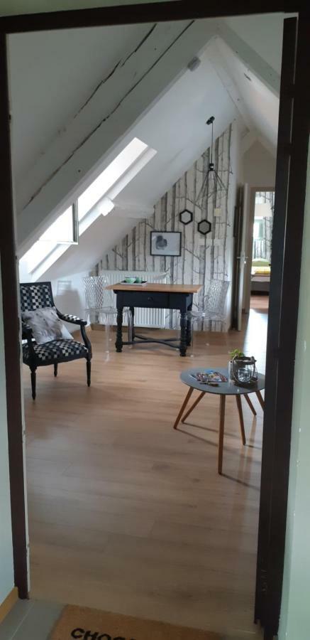 Chez Pauline Apartment Colmar Ngoại thất bức ảnh