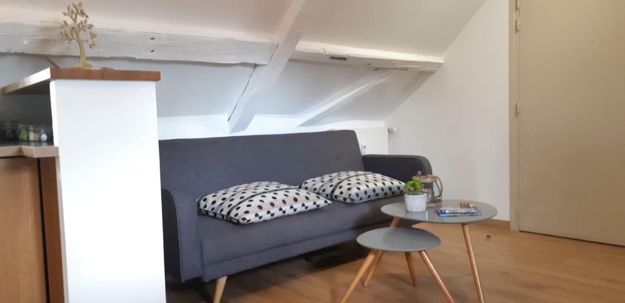Chez Pauline Apartment Colmar Ngoại thất bức ảnh