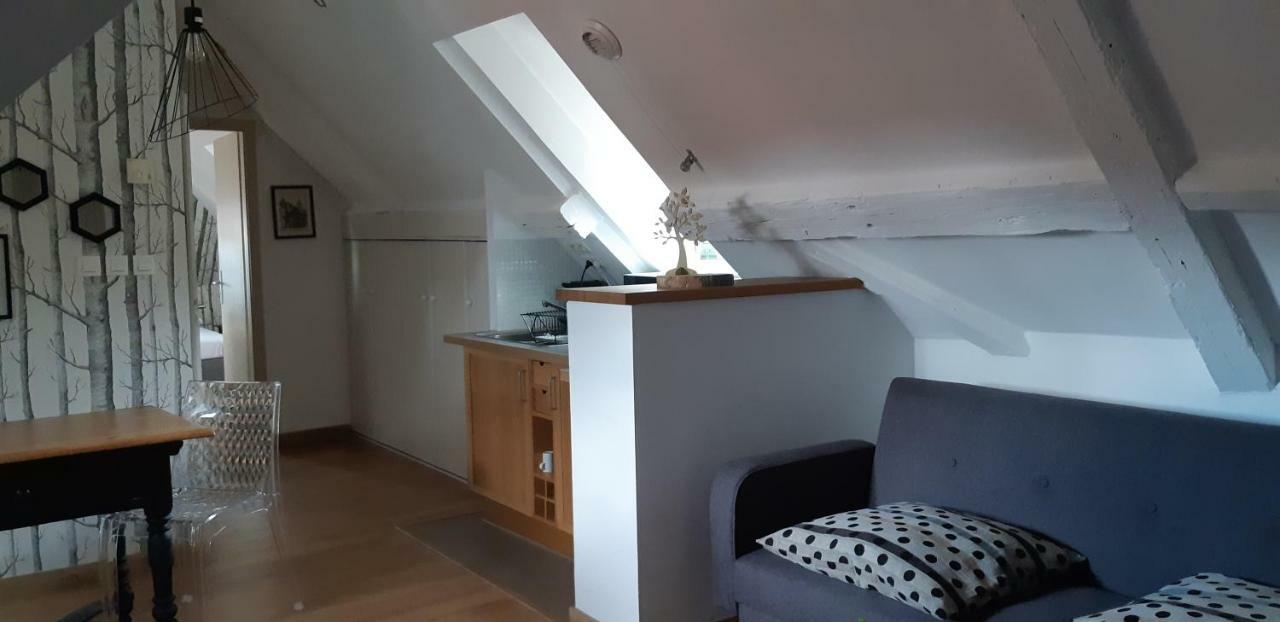 Chez Pauline Apartment Colmar Ngoại thất bức ảnh